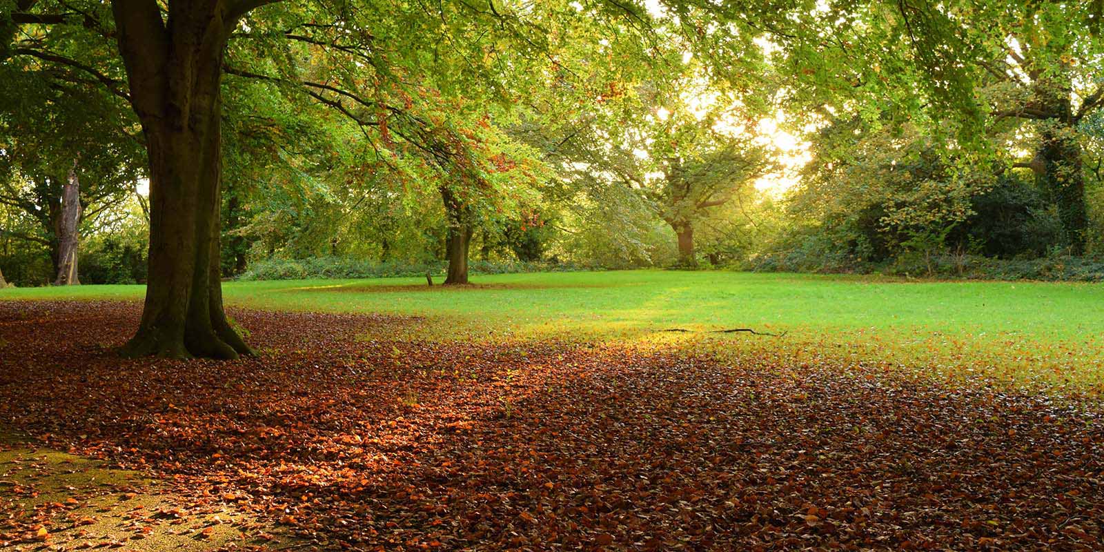 NLadviseurs-parken-header