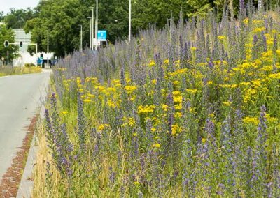 Communicatie die bijdraagt aan meer biodiversiteit