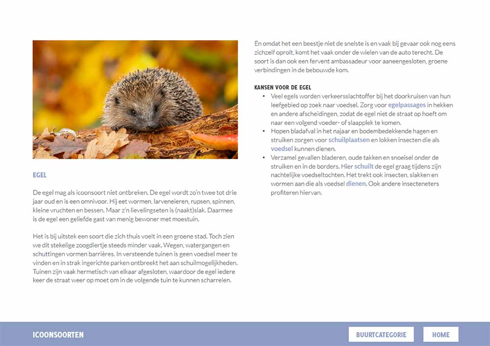 Nieuws Natuurkansen en waarden op de kaart - Egel