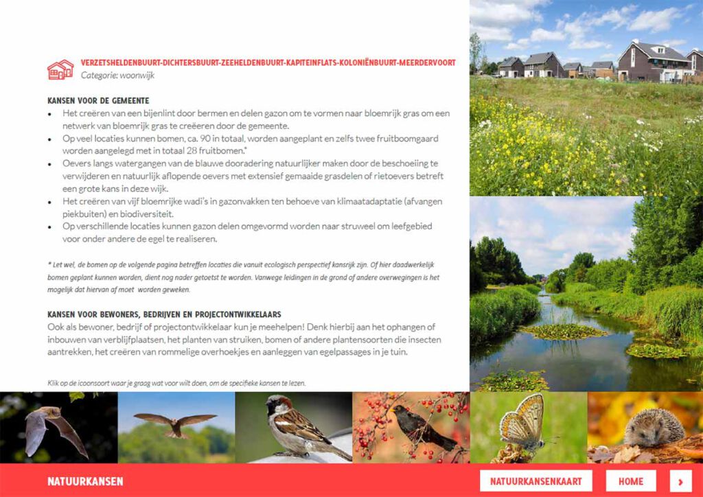 Natuurkansen_Gemeente_Zwijndrecht_Verzetsheldenbuurt