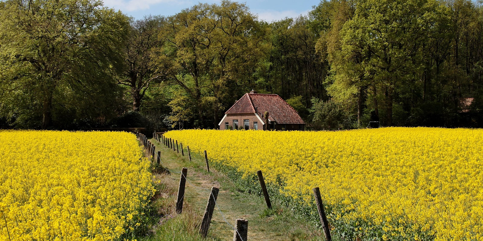ecologisch werkprotocol ecologisch werkprotocol