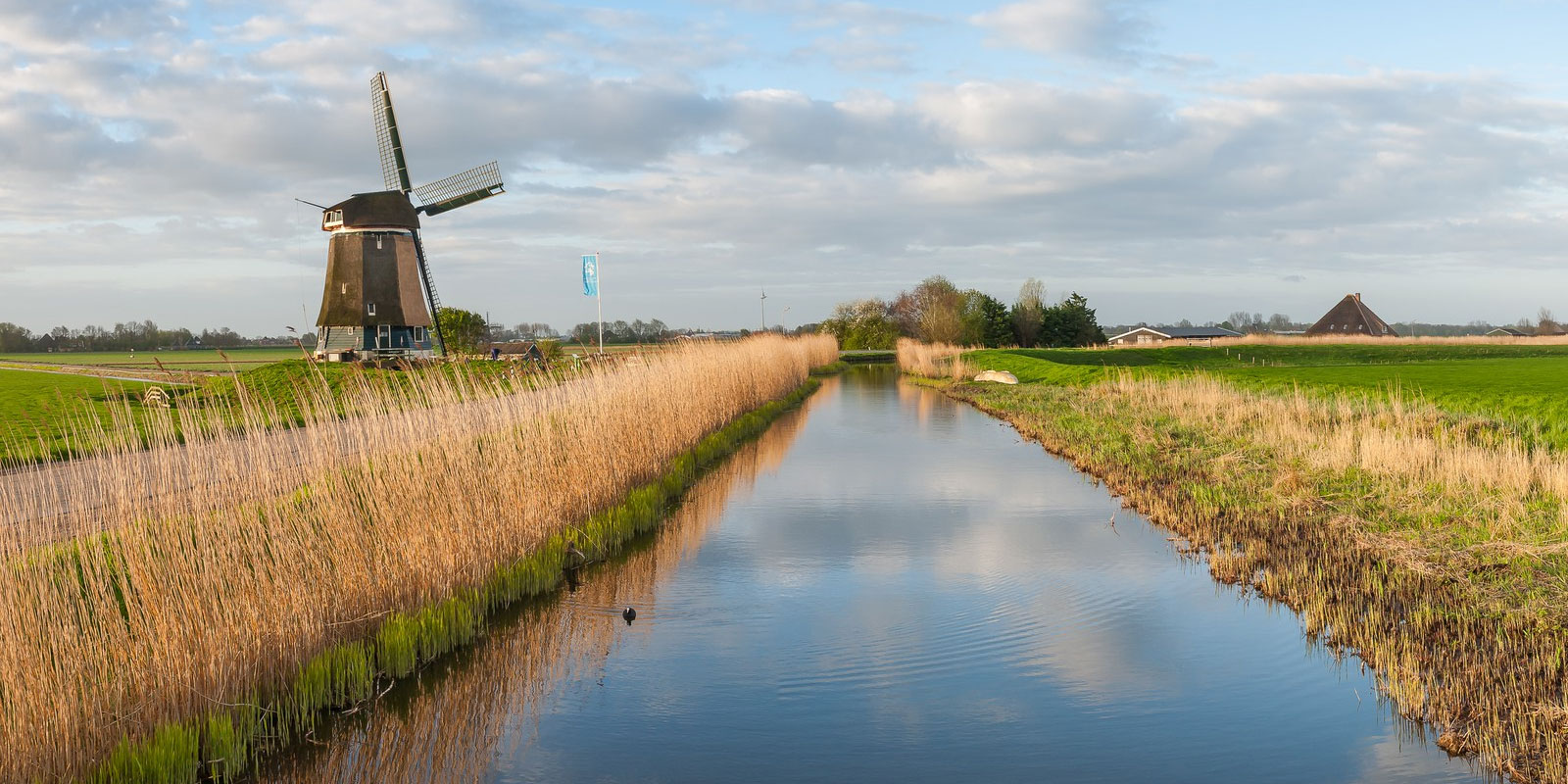 bermbeheer ecologisch advies