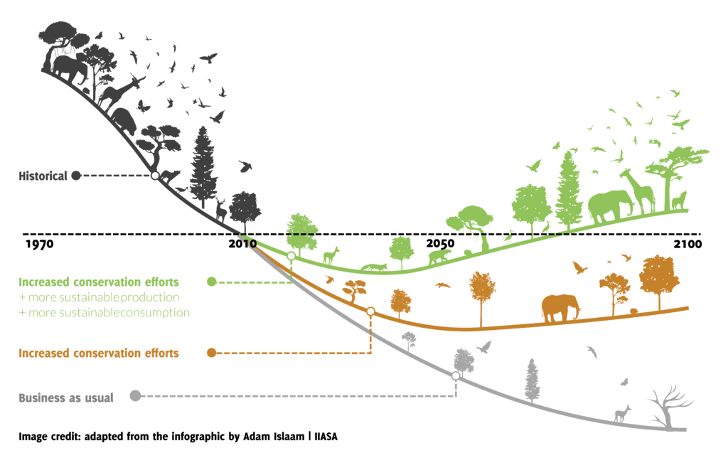 NLadviseurs - biodiversiteitmaterialiteitCSRD