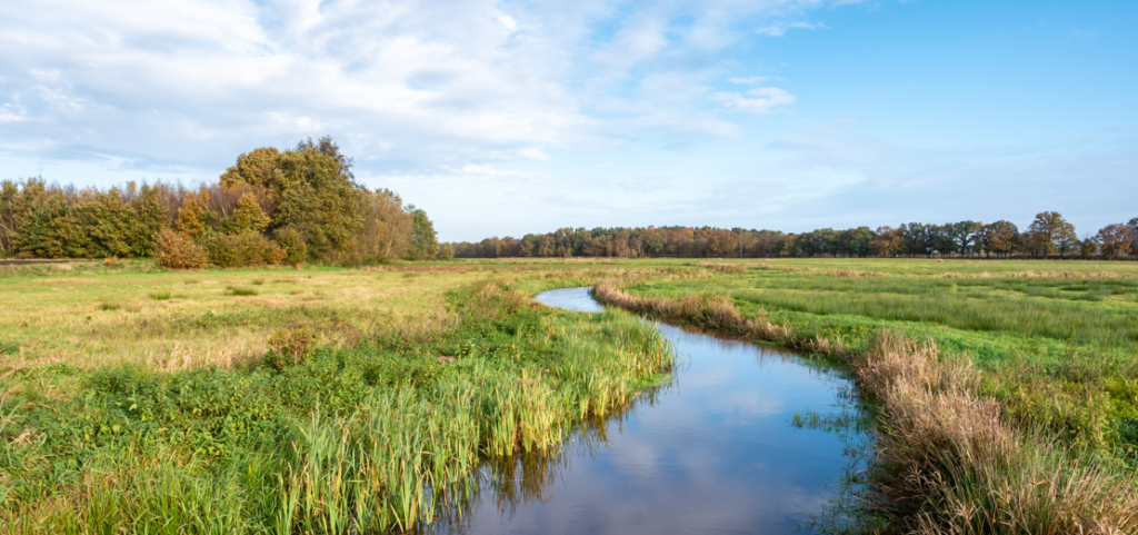 De meanderende rivier de Reest