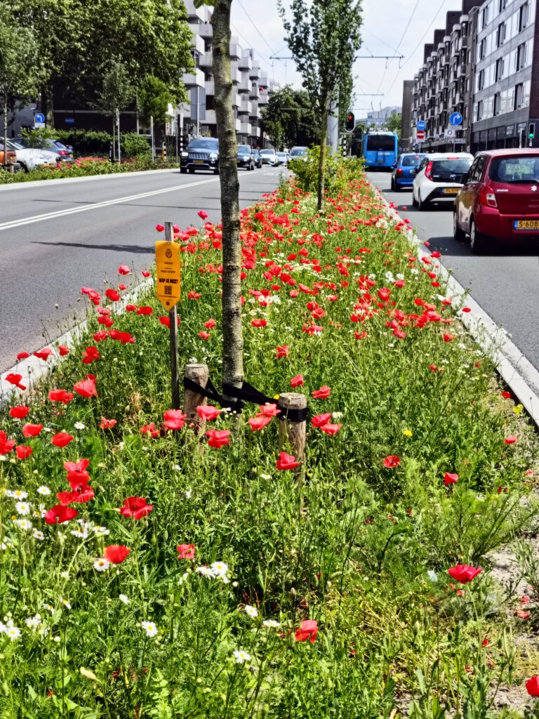 De landelijke actie 'NK Tegelwippen' is een voorbeeld van succesvol voorbeeld van burgerparticipatie. In deze straat zijn in het kader van de tegelwipacties heel wat vierkante meters vergroend. 