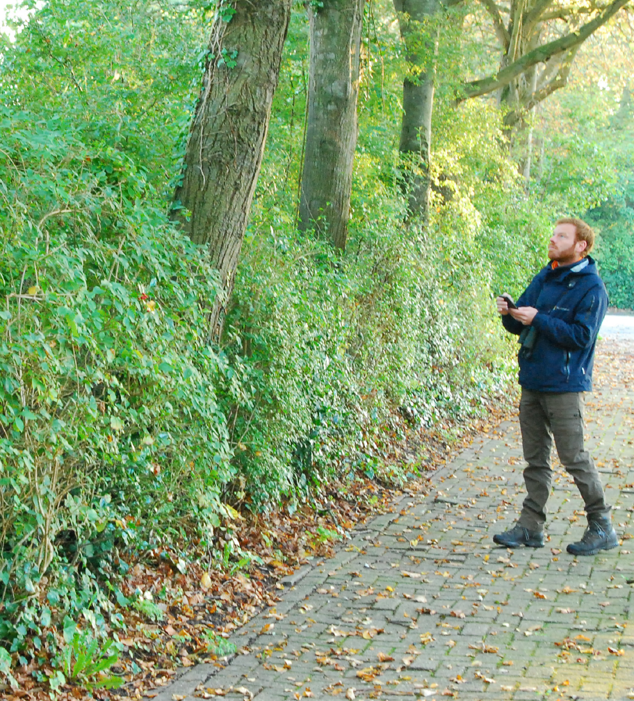 Basiskwaliteit Groenbeheer - NLadviseurs