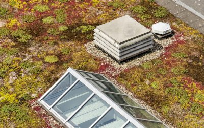 Werknemersgeluk: groen op je bedrijventerrein