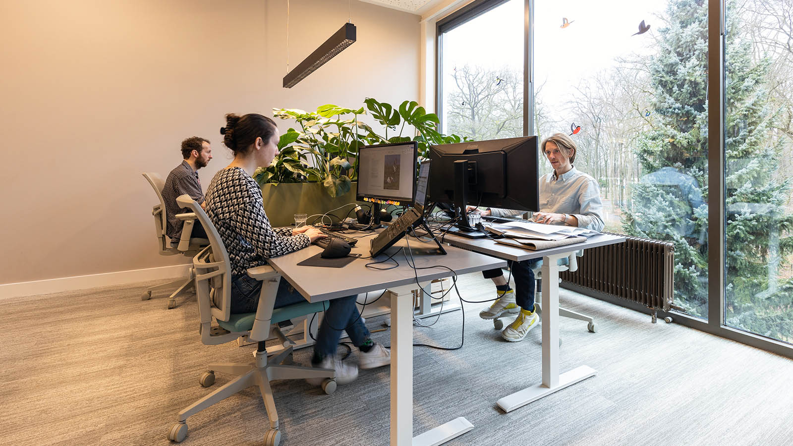 NLadviseurs Over ons