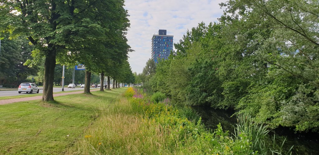 Stadswerk Gedragscodetool ondersteunt bij beheer en onderhoud openbaar groen.