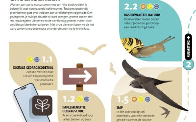 Routekaart: wegwijzer naar een biodiverse gemeente