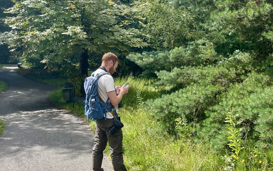 Gebiedsmonitoring: inzicht in natuurwaarden