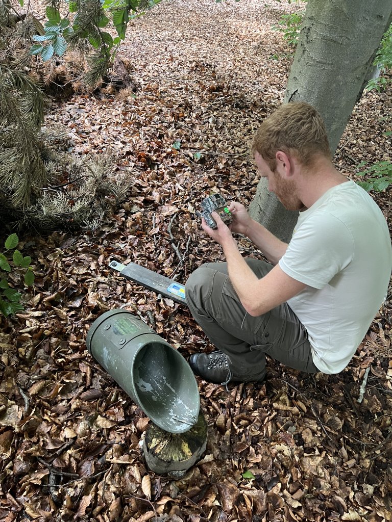 Ecoloog André Geelhoed stelt een wildcamera in.