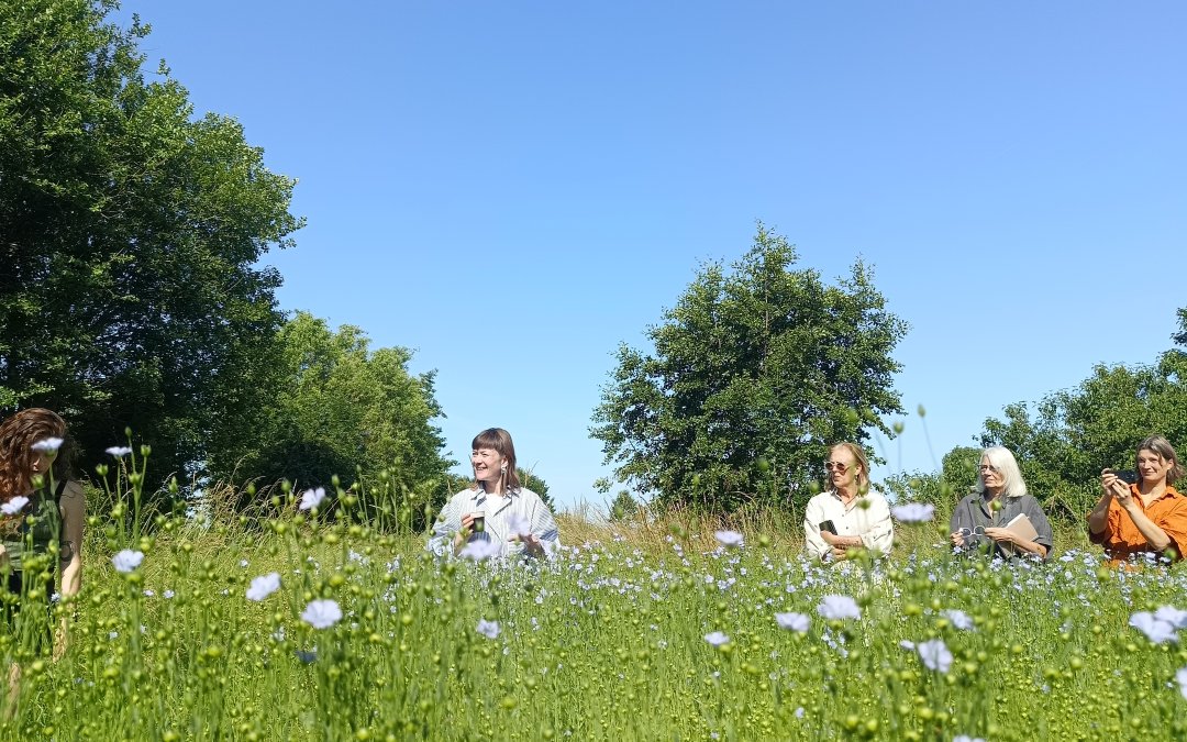 Hoe monitoring helpt bij landschapsherstel