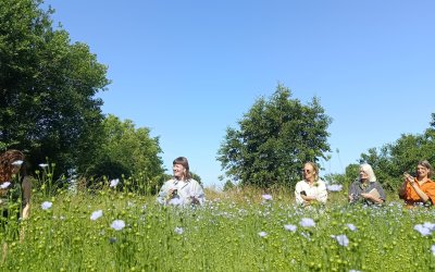 Hoe monitoring helpt bij landschapsherstel