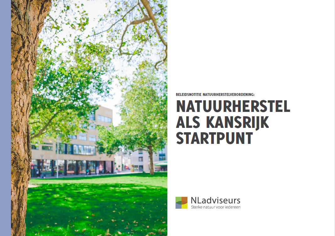 NLadviseurs_Beleidsnotitie_Natuurherstel als kansrijk startpunt