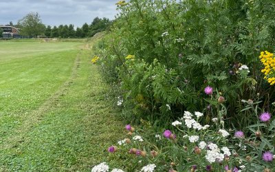 Natuurontwikkeling op Golfbaan Kromme Rijn: van advies op papier naar impact buiten