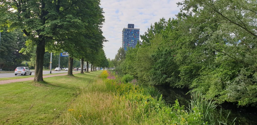 Natuurherstelverordening gemeenten artikel 8 boomkroonbedekking en groen