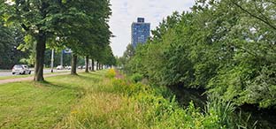 nladviseurs dienst natuurontwikkelingsplan