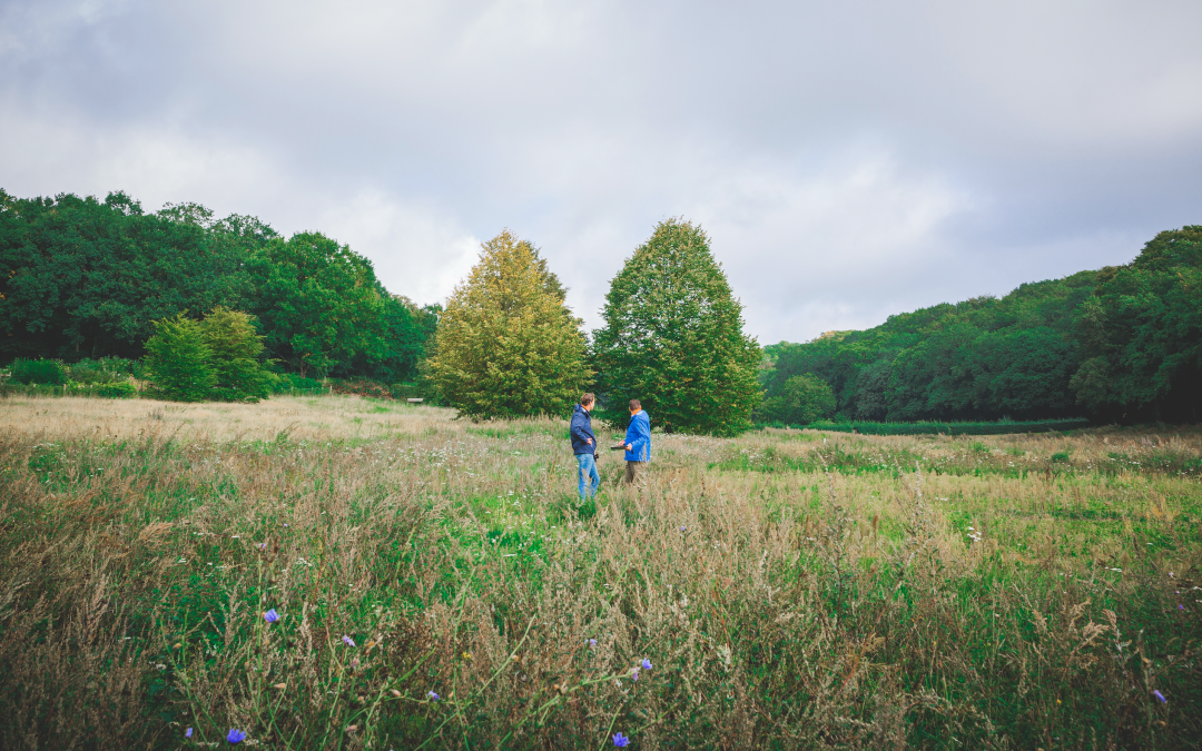 8,5 miljoen subsidie voor biodiversiteit in Gelderland